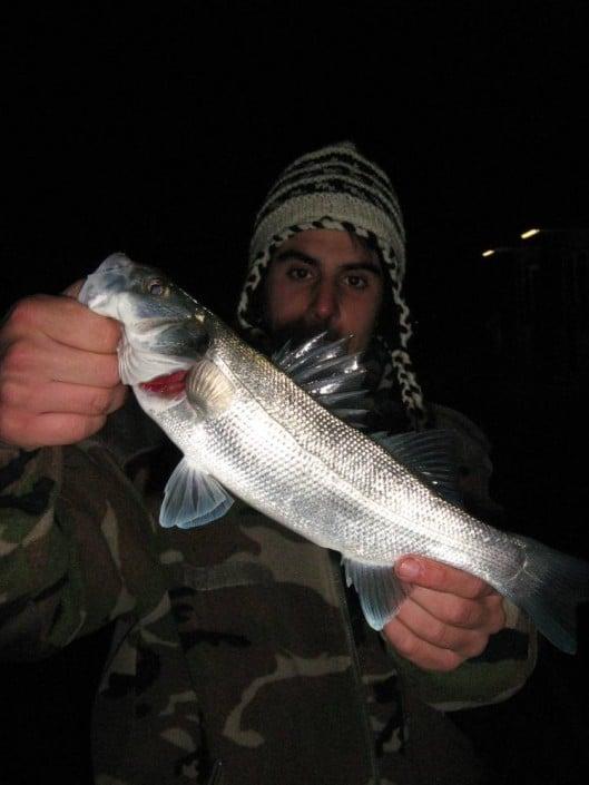 SHINJIN SIS 702UL - Spéciale Rockfishing