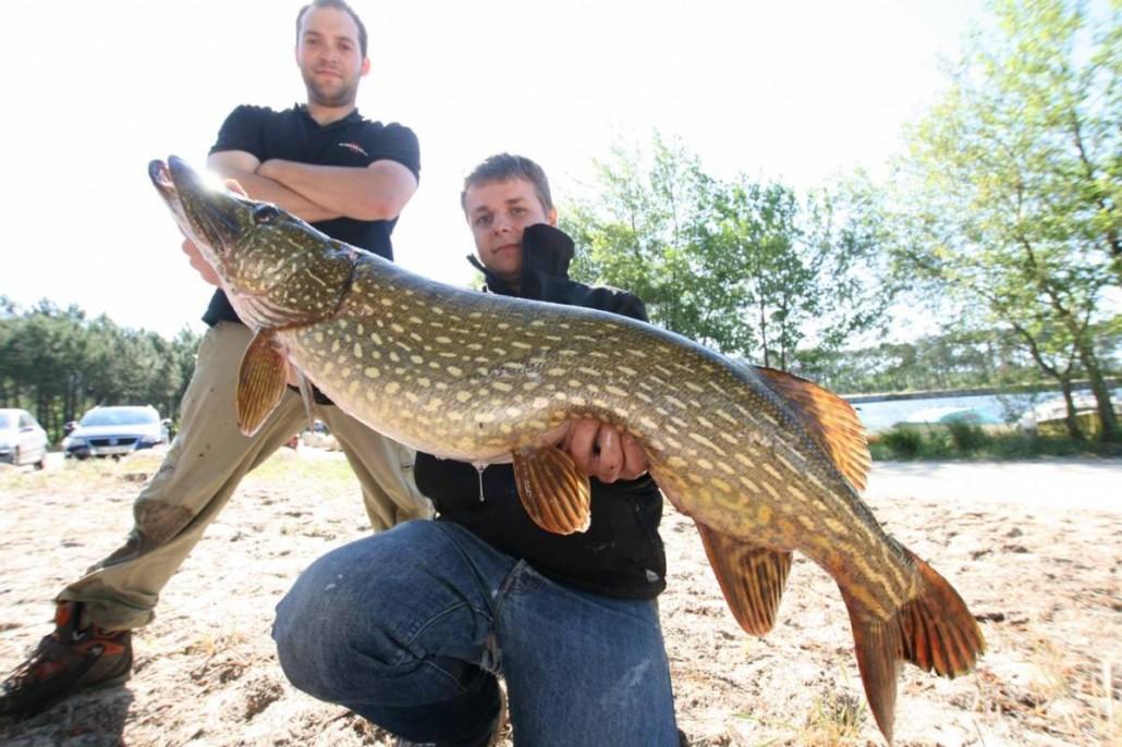 Brochet au lac de Lacanau par la Team Sakura