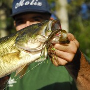 Post Tournament sur la rivière Calcasieu