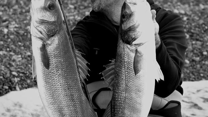 Sakura fishing Croatia