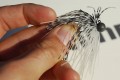 Crispy Spider jig Sakura