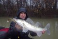 Premiers poissons de l’année !