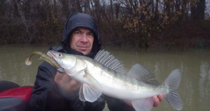 Premiers poissons de l’année ! 