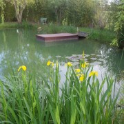 Bass pond