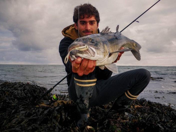 Le Slit shad est un très bon leurre à Bar