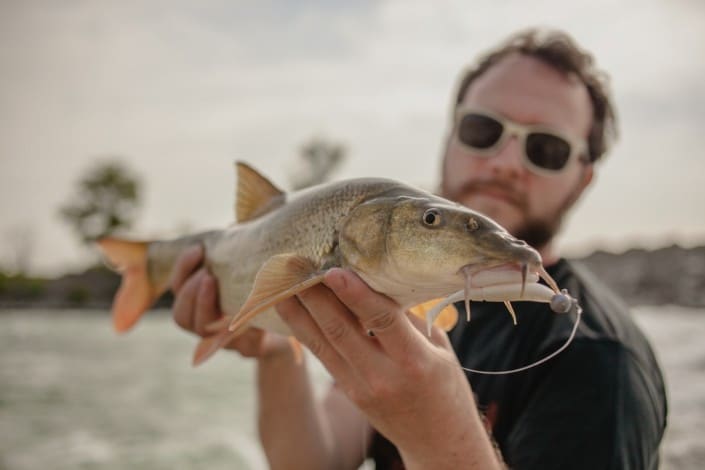 Robert de la Team Sakura à la recherche des barbeaux au slit shad