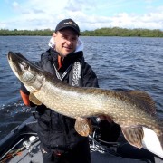 brochet d'Irlande sur matériel Sakura