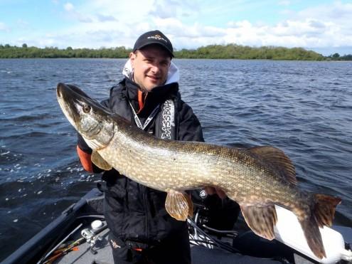 brochet d'Irlande sur matériel Sakura