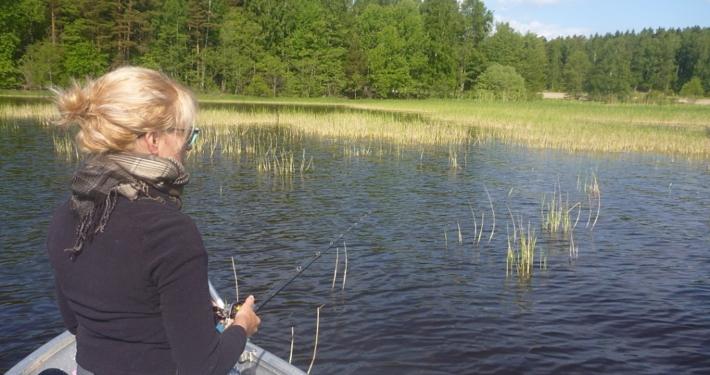 Pike in Sweden