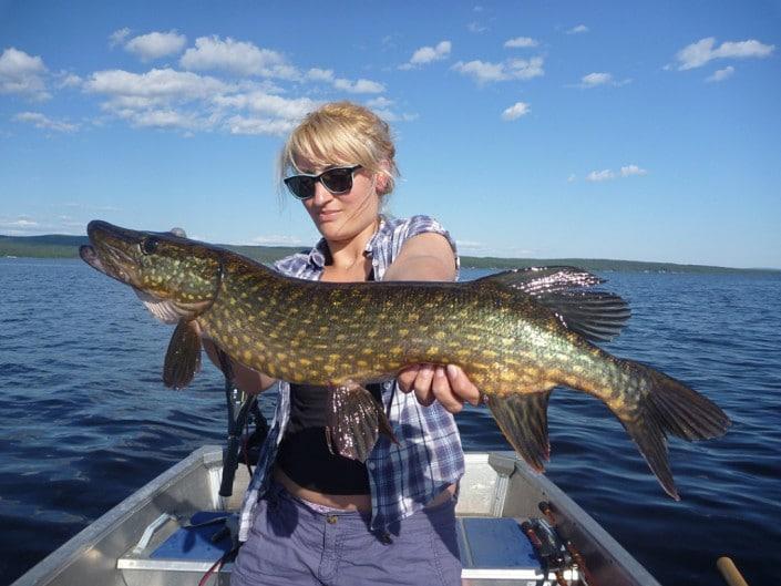 Pike in Sweden