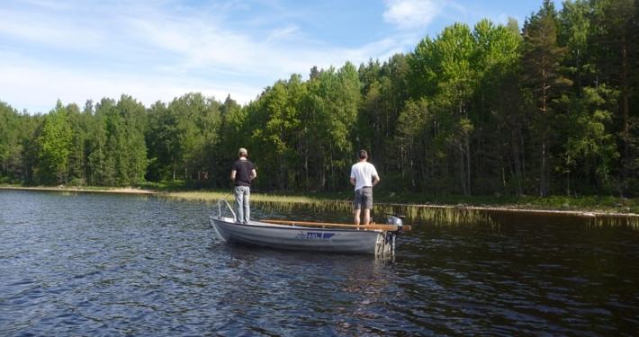 Pike in Sweden