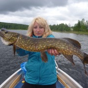 Pike in Sweden