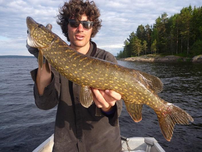 Pike in Sweden