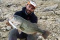bass-espagnol-au-Mousty-125F