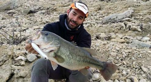 bass-espagnol-au-Mousty-125F