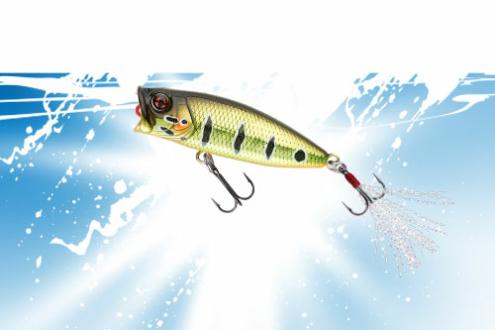 vignette-transition-pop-n-dog-2025