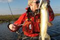 speed-minnow_2