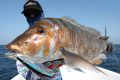 speed-minnow_3