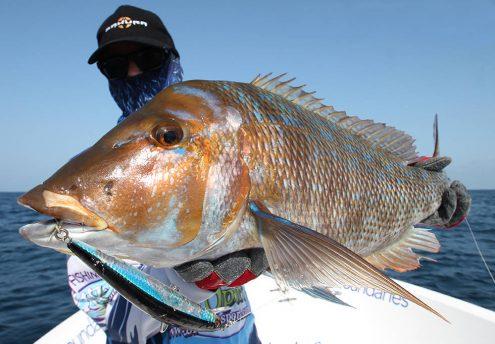 speed-minnow_3