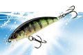 Vignette_transition-PHOXY-MINNOW-HW-SP