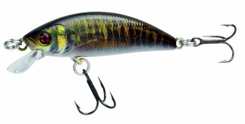 Phoxy Minnow HW-RL07