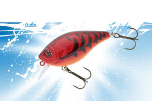 Vignette-transition-Bomba-Crank-Sakura-2023