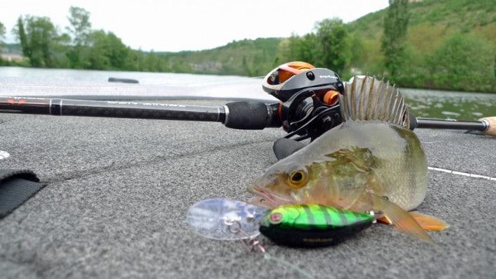 Parfaite pour le crankbait, la Trinis Neo casting Glass