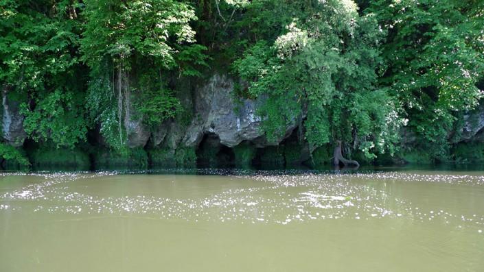 Falaises de la Dordogne