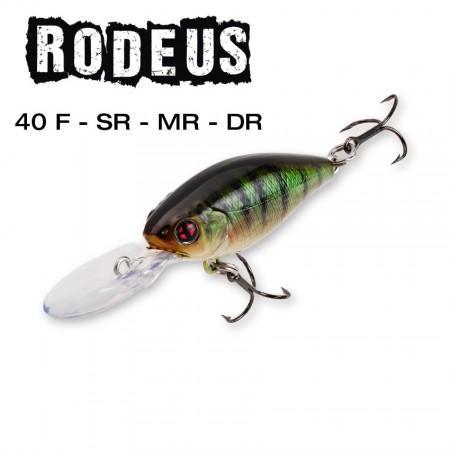 Rodeus_40F_SR_MR_DR