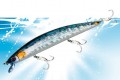 Vignette_Smart_Minnow_145F_165F