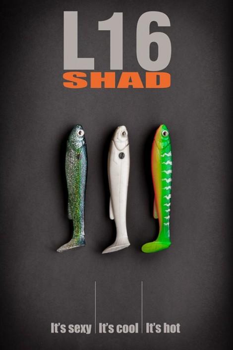 L16 Shad compo