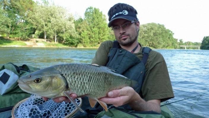 chevesne pris au stickbait