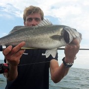 Nicolas Huguet guide de peche aux sables d'olonne et un bar pris sur la nouvelle Golden BAY