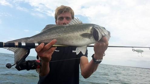 Nicolas Huguet guide de peche aux sables d'olonne et un bar pris sur la nouvelle Golden BAY