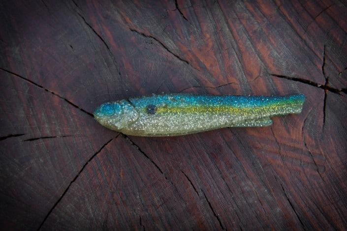 L16 Shad après une dizaine de brochets