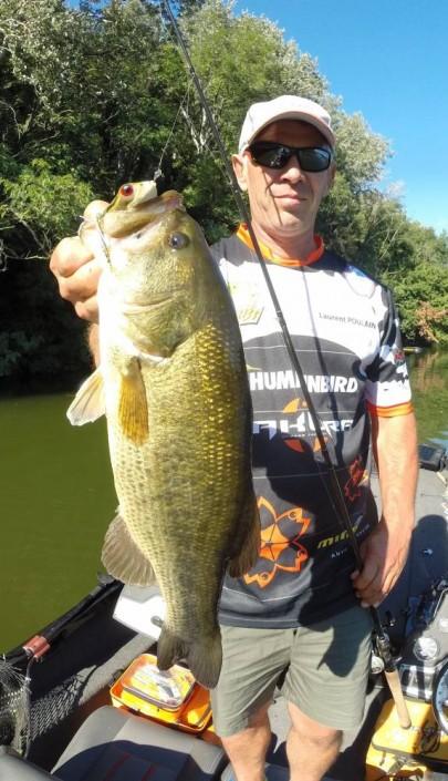 Bass de 45up a la frog sakura