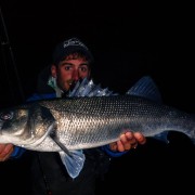 Bar de 66 cm pris par Thomas Gestin avec un Slit Shad 4 pouces