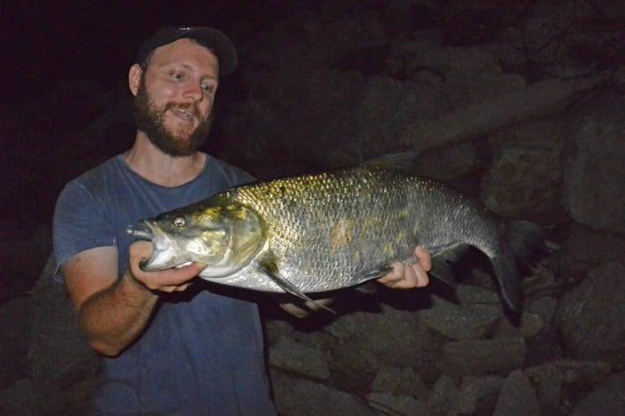 robert de spineri avec un aspe record au slit shad sakura