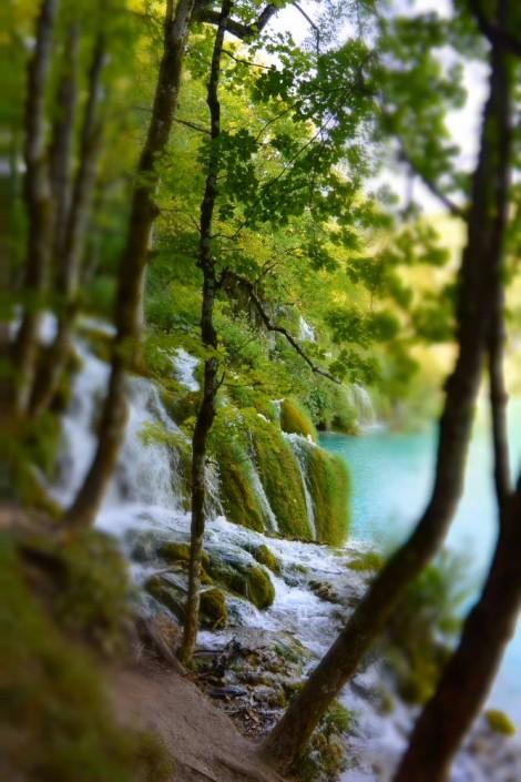 cascade en forêt dans le parc de Plivitce en Croatie