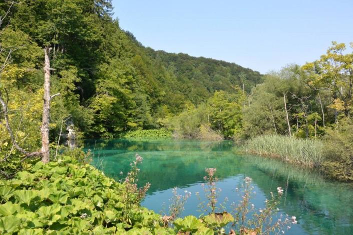 lac intermédiaire du parc de plivitce en Croatie