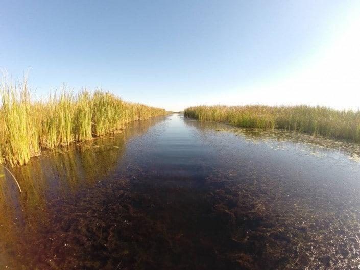 canal sur lacassine en louisiane