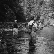 trout fishing in croatia on Dobra river