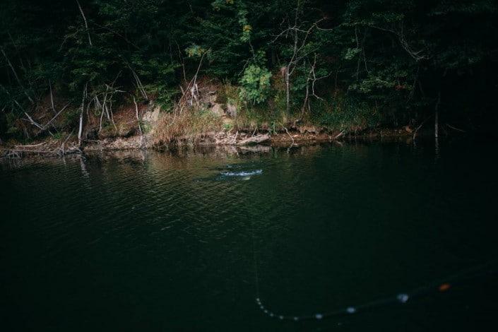 Attaque de brochet sur un spinnerbait monarc de sakura