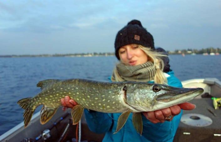 brochet du Grand Large sur matériel Sakura