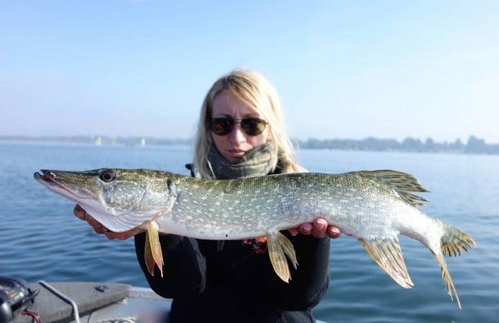 brochet du Grand Large pris sur matériel Sakura