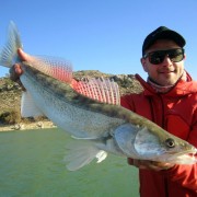 17-les pointes venteuses nous offrent des sandres pris au crankbait sakura