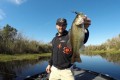 JC du team sakura avec un bass pris en punching avec une Fat Baby Craw de gary yamamoto