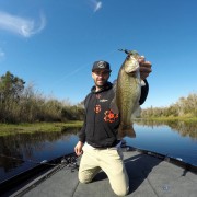 JC du team sakura avec un bass pris en punching avec une Fat Baby Craw de gary yamamoto