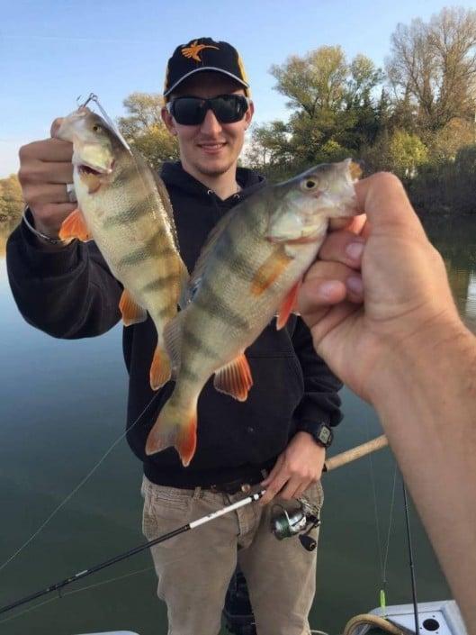 les doublés sont fréquents quand on pêche un banc de perches au casting jig