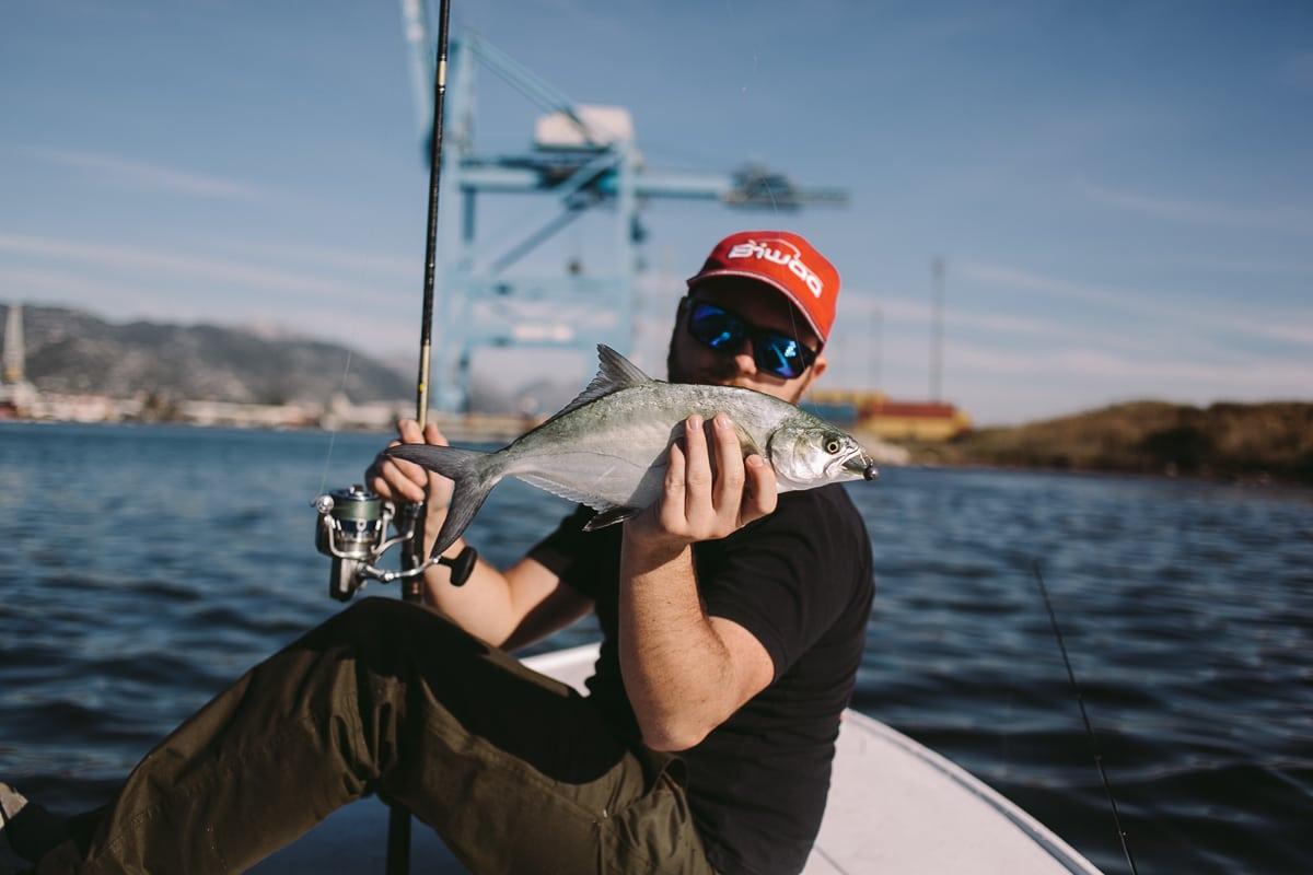 Sea bass Paradise - SAKURA-Fishing